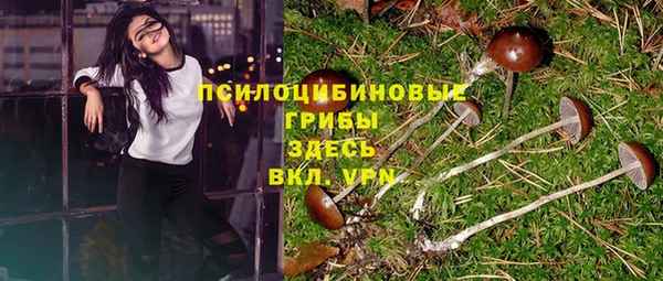 прущий лед Балахна