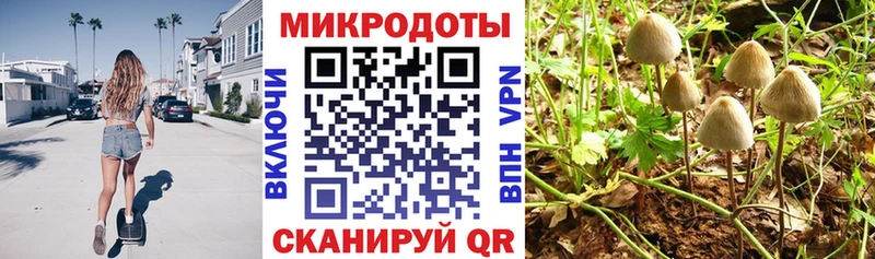 Галлюциногенные грибы MAGIC MUSHROOMS Кирово-Чепецк
